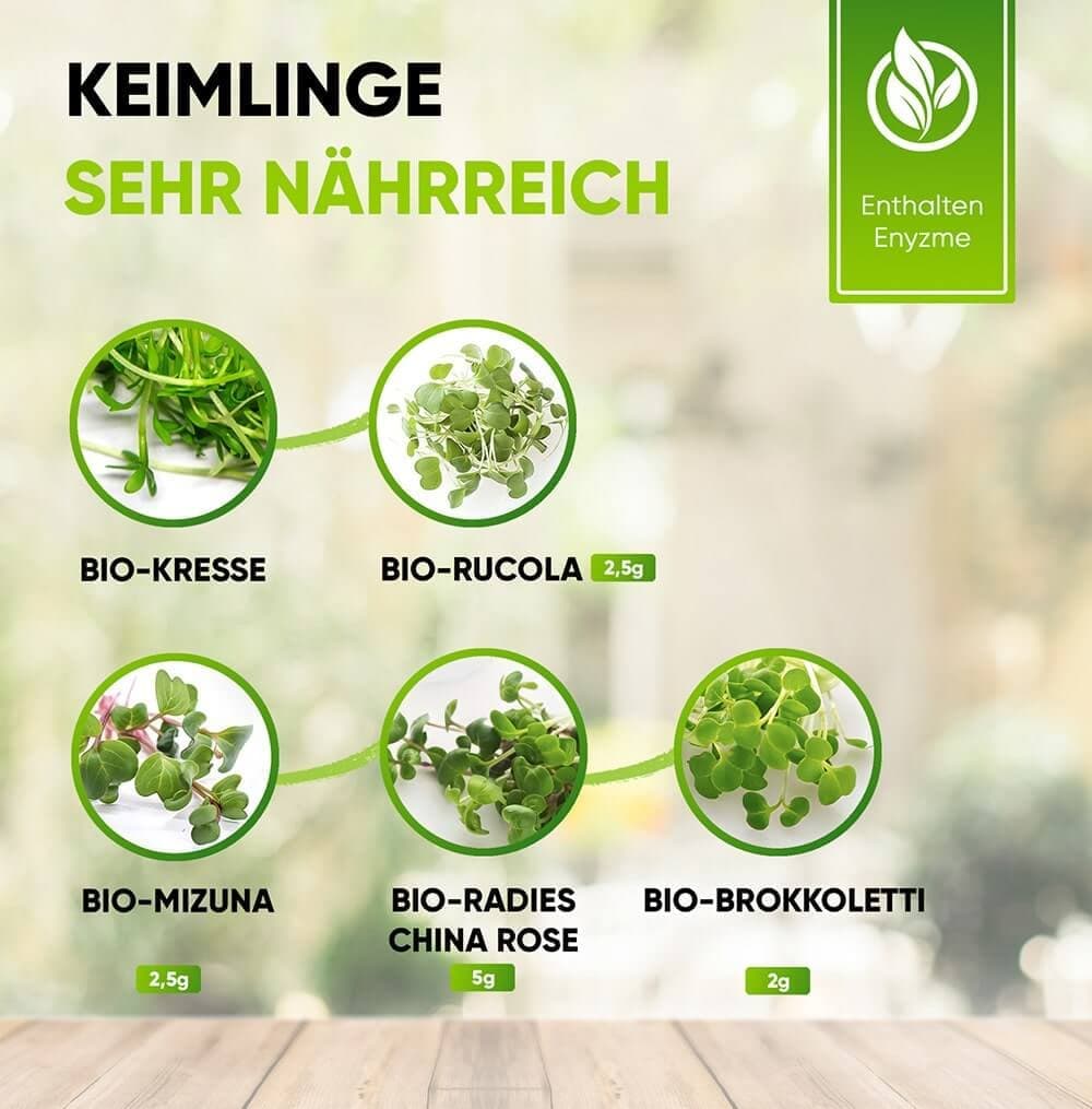 Grüne Fee Anzuchtset “Bio Microgreens”
