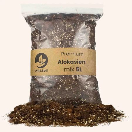 SYBASoil Premium Alokasien Mix 10 L