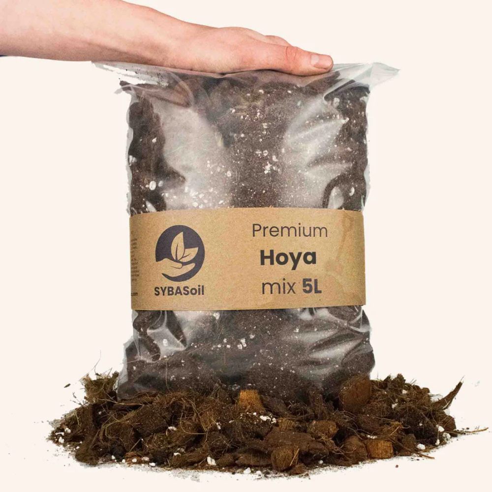 SYBASoil Premium Hoya Mix 10 L