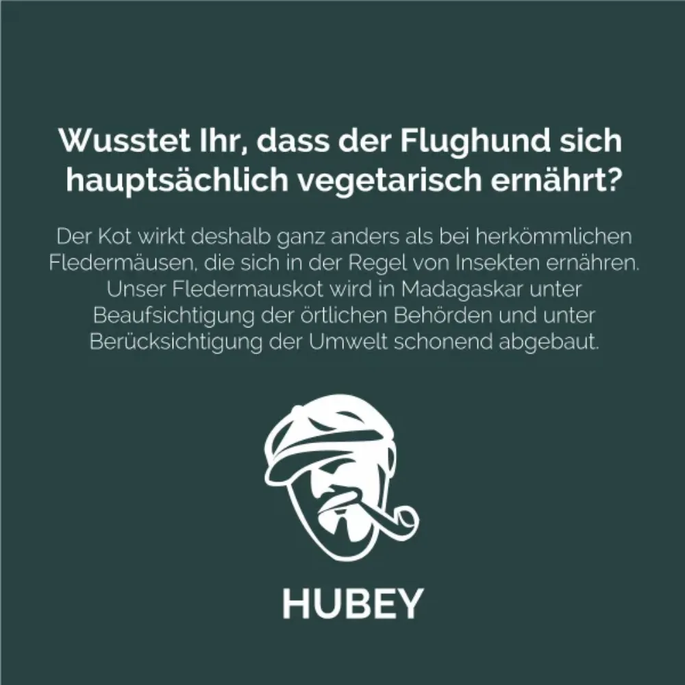 Hubey Bat-Guano Pulver, Fledermausdünger 1 kg