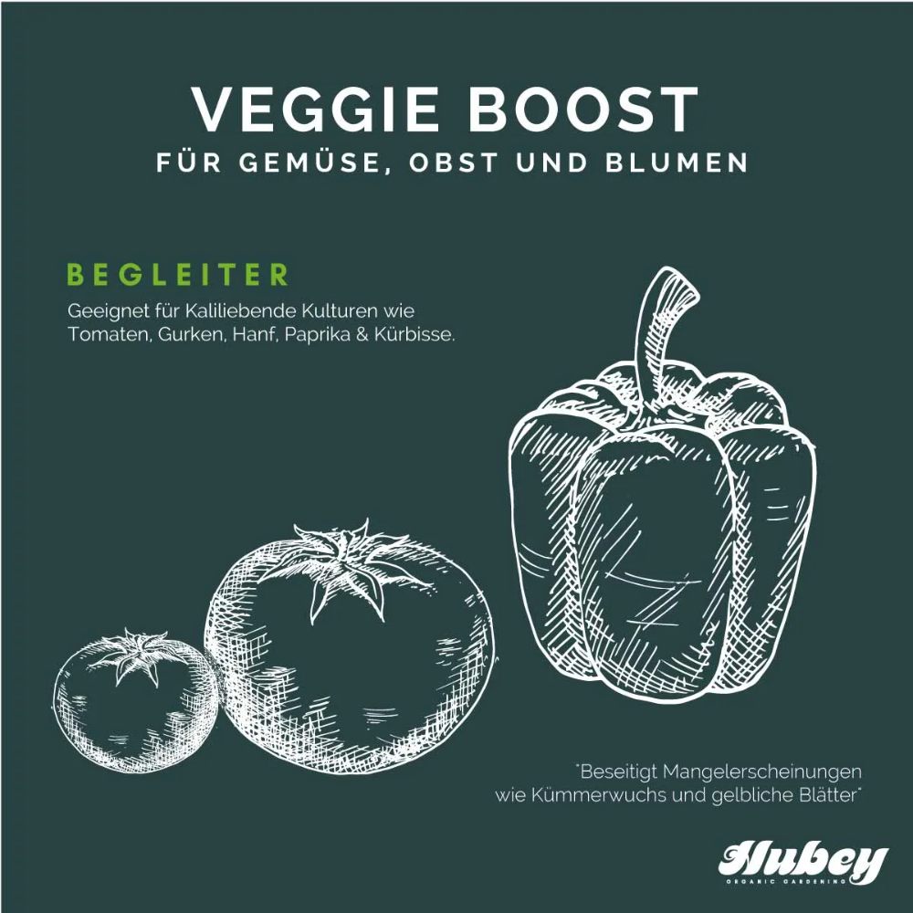 Hubey Veggie Boost 1 Liter