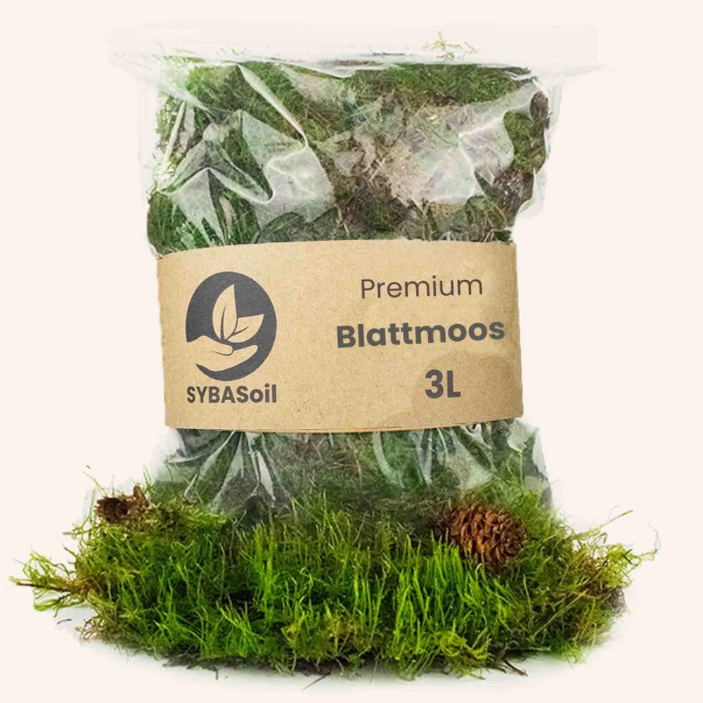SYBASoil Premium Lebendes Blattmoos 3 Liter