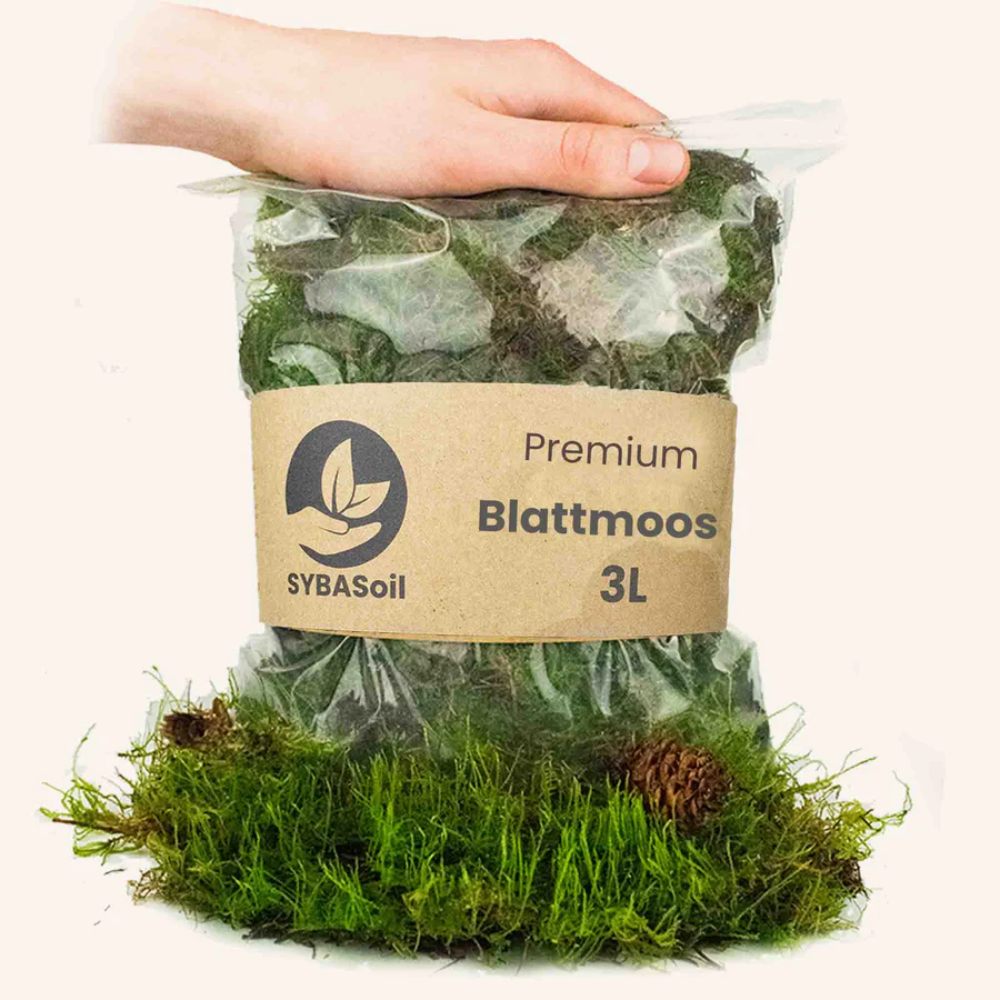 SYBASoil Premium Lebendes Blattmoos 3 Liter