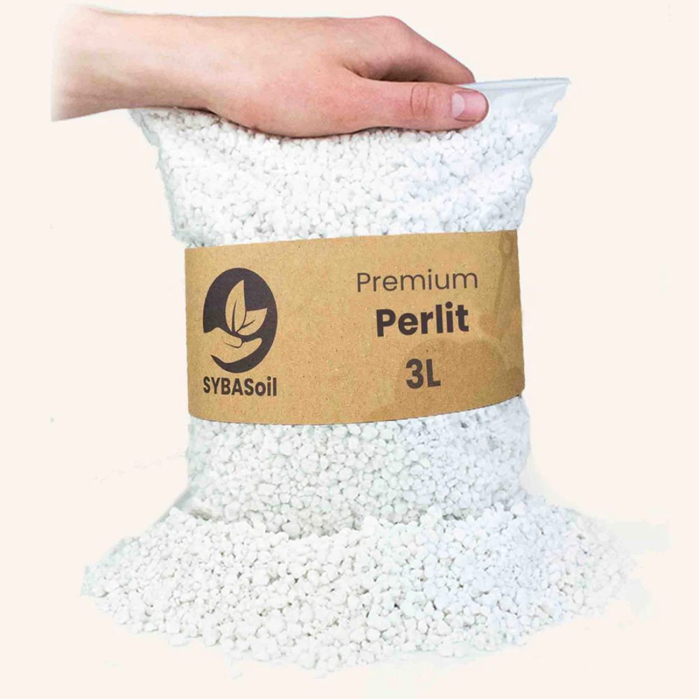 SYBASoil Premium Perlit 2-6 mm 3 Liter
