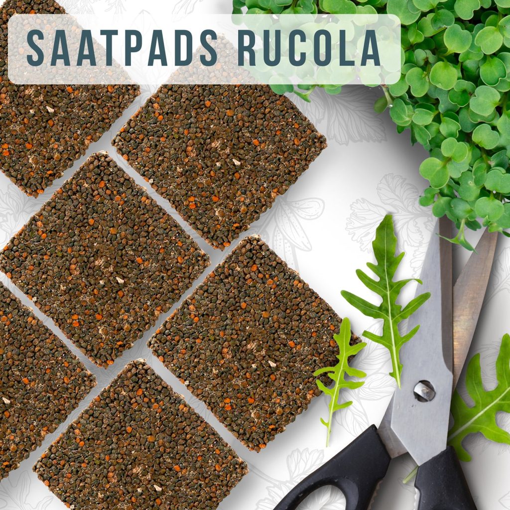 OraGarden Soil-MicroGreen Rucola Saatpad Set im 6er