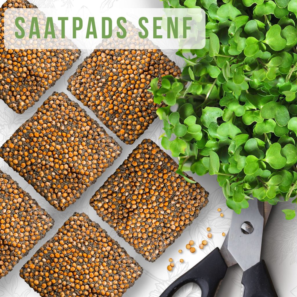 OraGarden Soil-MicroGreen Senf Saatpad Set im 36er