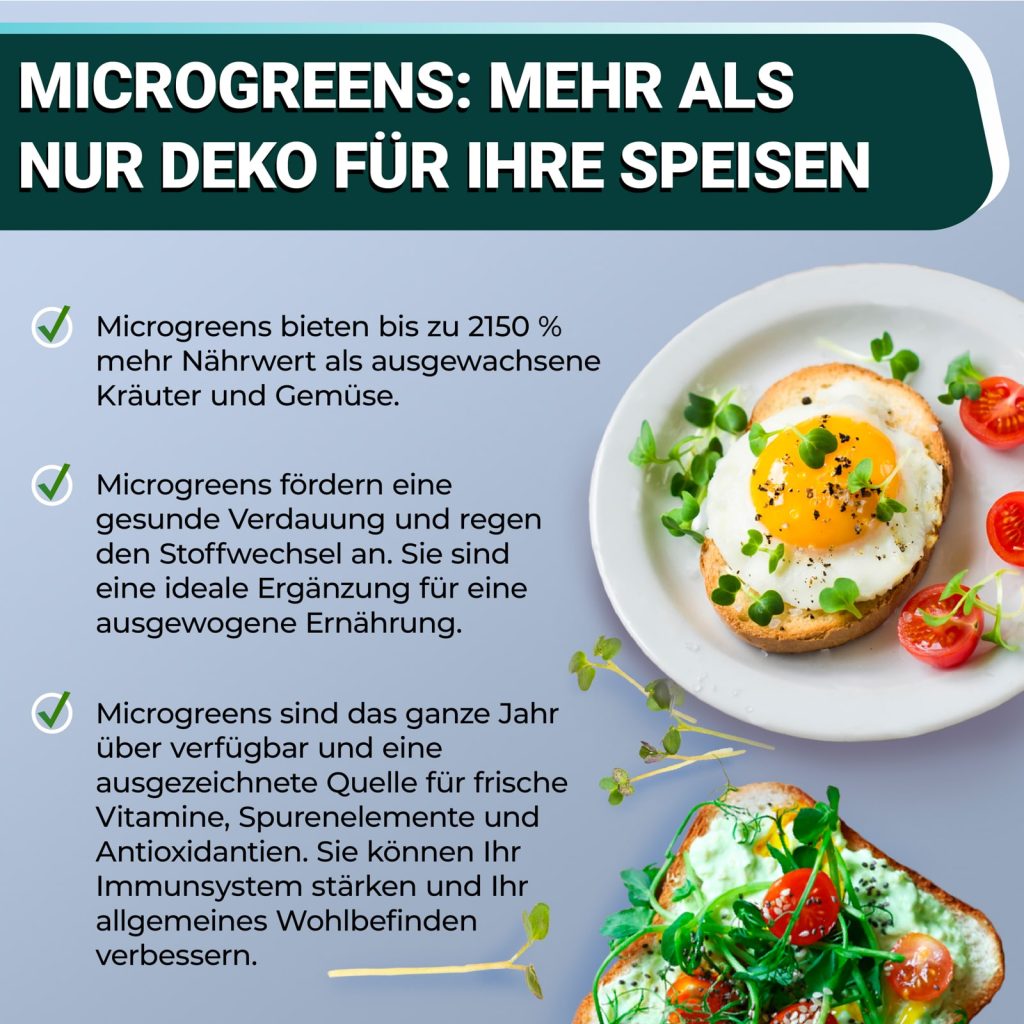 OraGarden Soil-MicroGreen Rote Linsen Saatpad Set im 6er