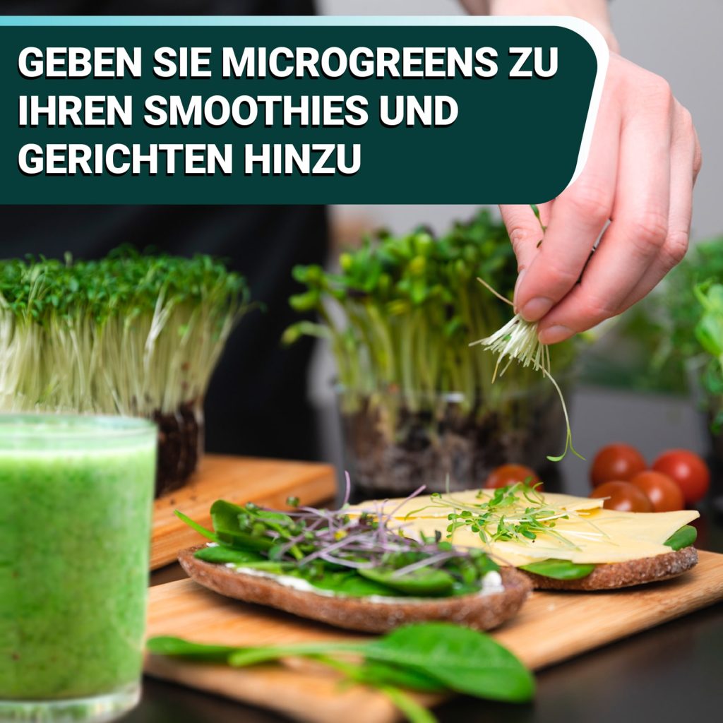 OraGarden Frische Microgreens-Saatpads-Mix 24 Stück
