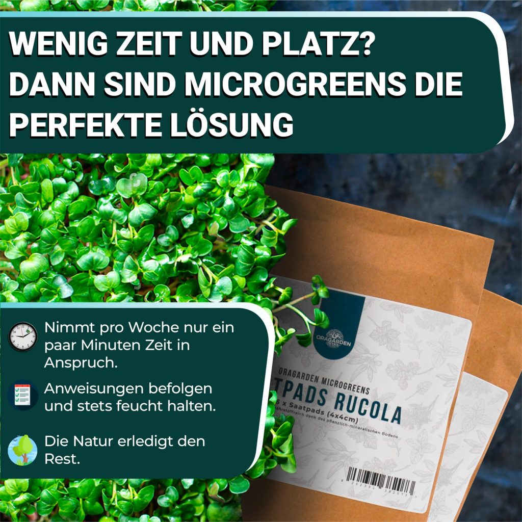 OraGarden Scharfer & Würziger Microgreens-Saatpads-Mix 24 Stück mit Bio-Saatgut