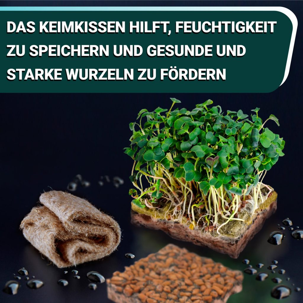 OraGarden Soil-MicroGreen Alfalfa Saatpad Set im 6er