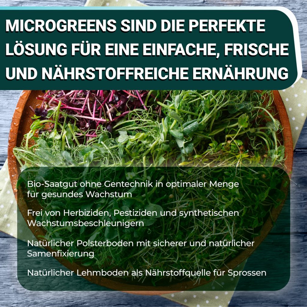OraGarden Soil-MicroGreen Grüne Linsen Saatpad Set im 6er