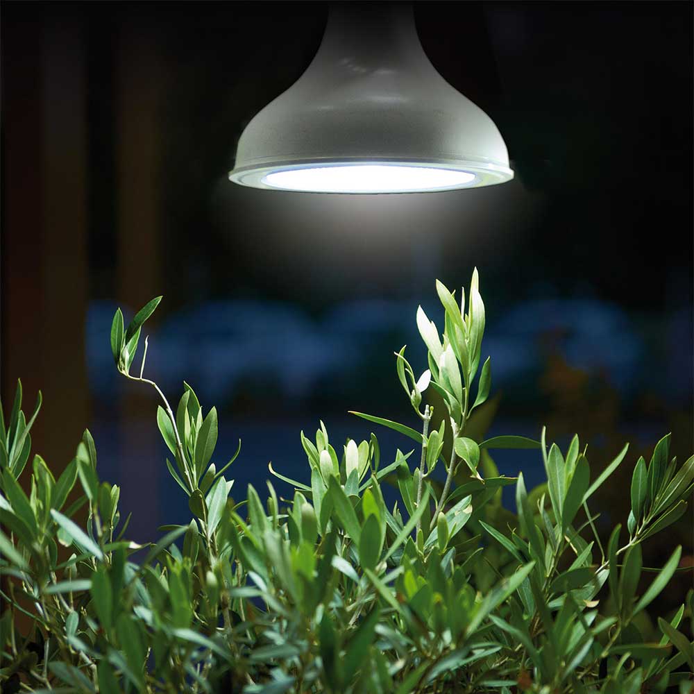 Nelson Garden LED-Pflanzenlampe 18W E27