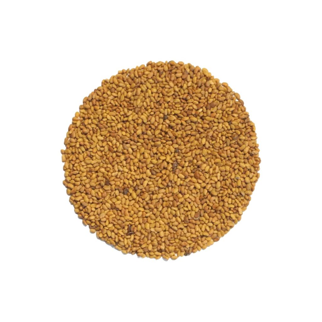 KeimGrün Bio-Keimsaat Alfalfa 50 g
