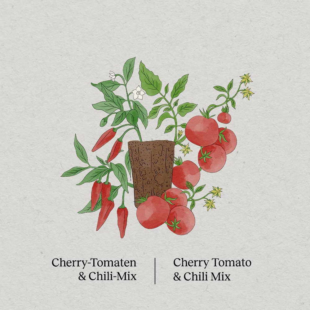 BerlinGreen PlantPlugs Cherry Tomato & Chilli Mix 8 Pack