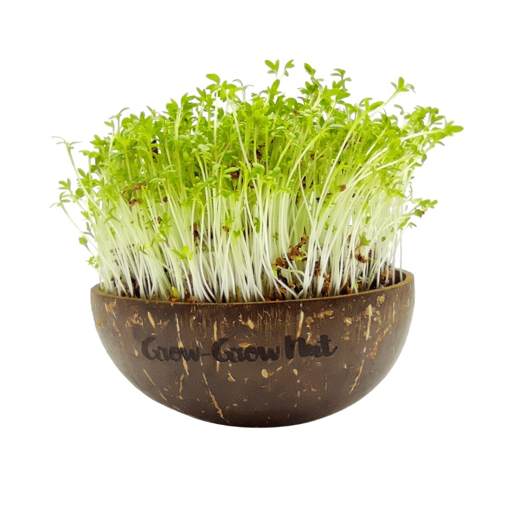 Grow-Grow Nut Nachfüllpaket “The Mikro Greens”