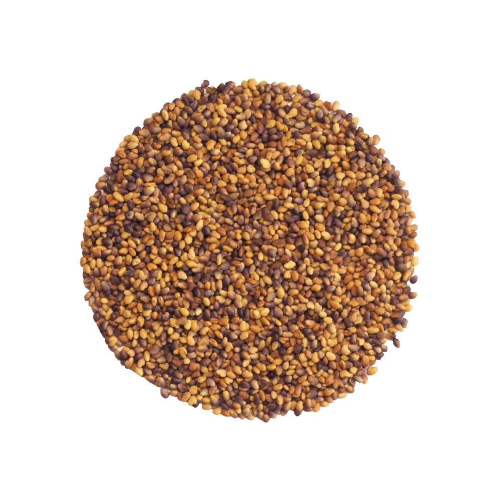 KeimGrün Bio-Keimsaat Rotklee (Rotklee Samen) 50 g