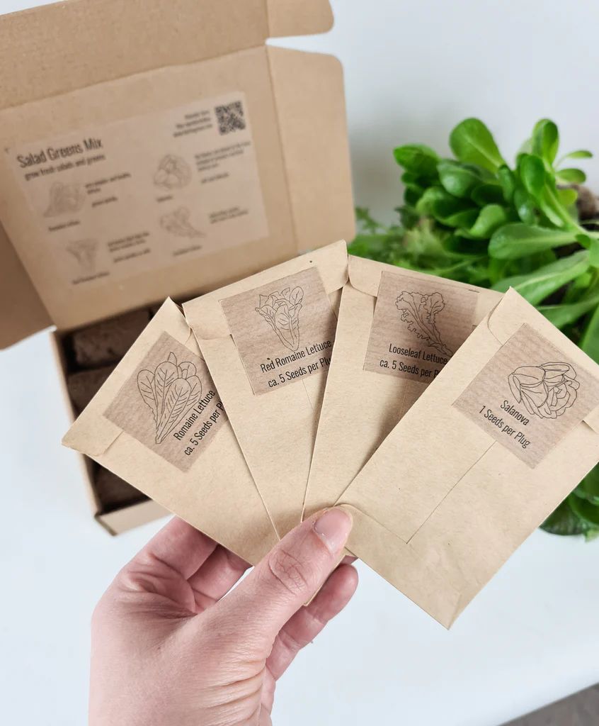 BerlinGreen PlantPlugs Salad Greens 8-Pack