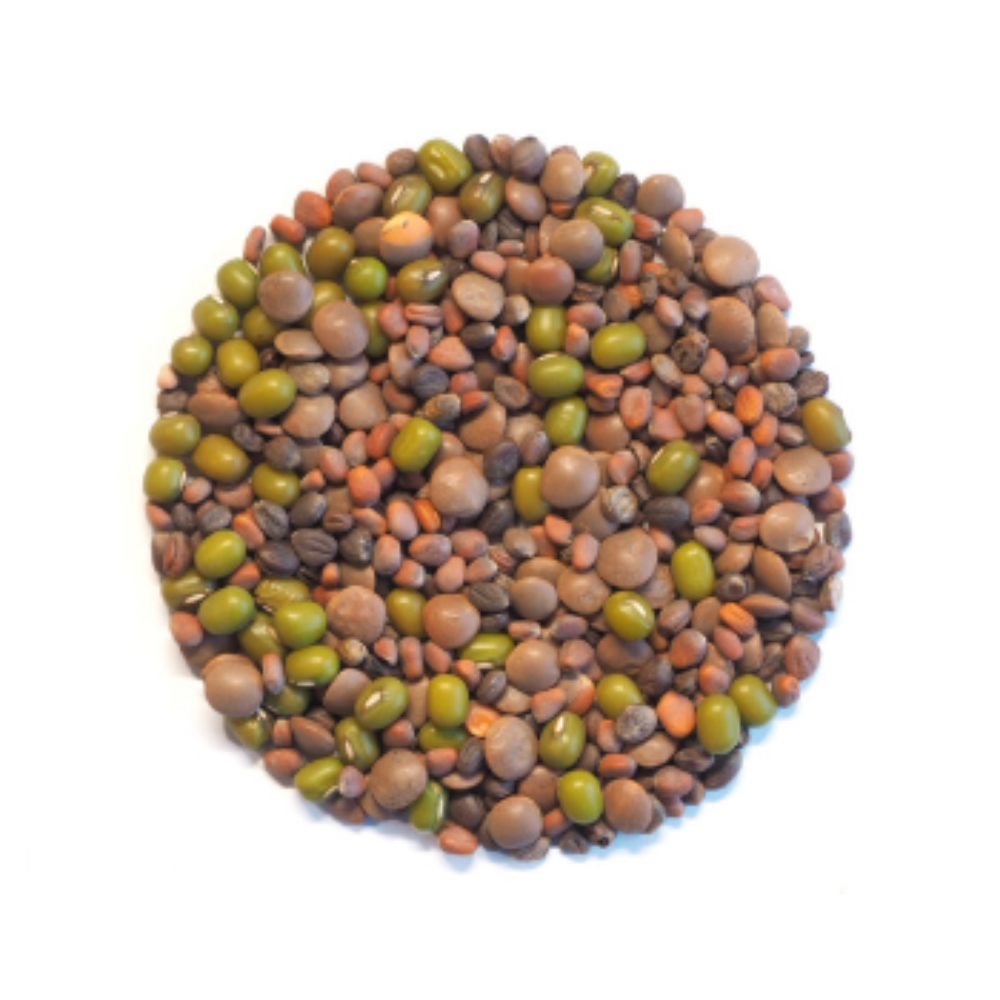 KeimGrün Bio-Sprossenmix “Salat” 50 g