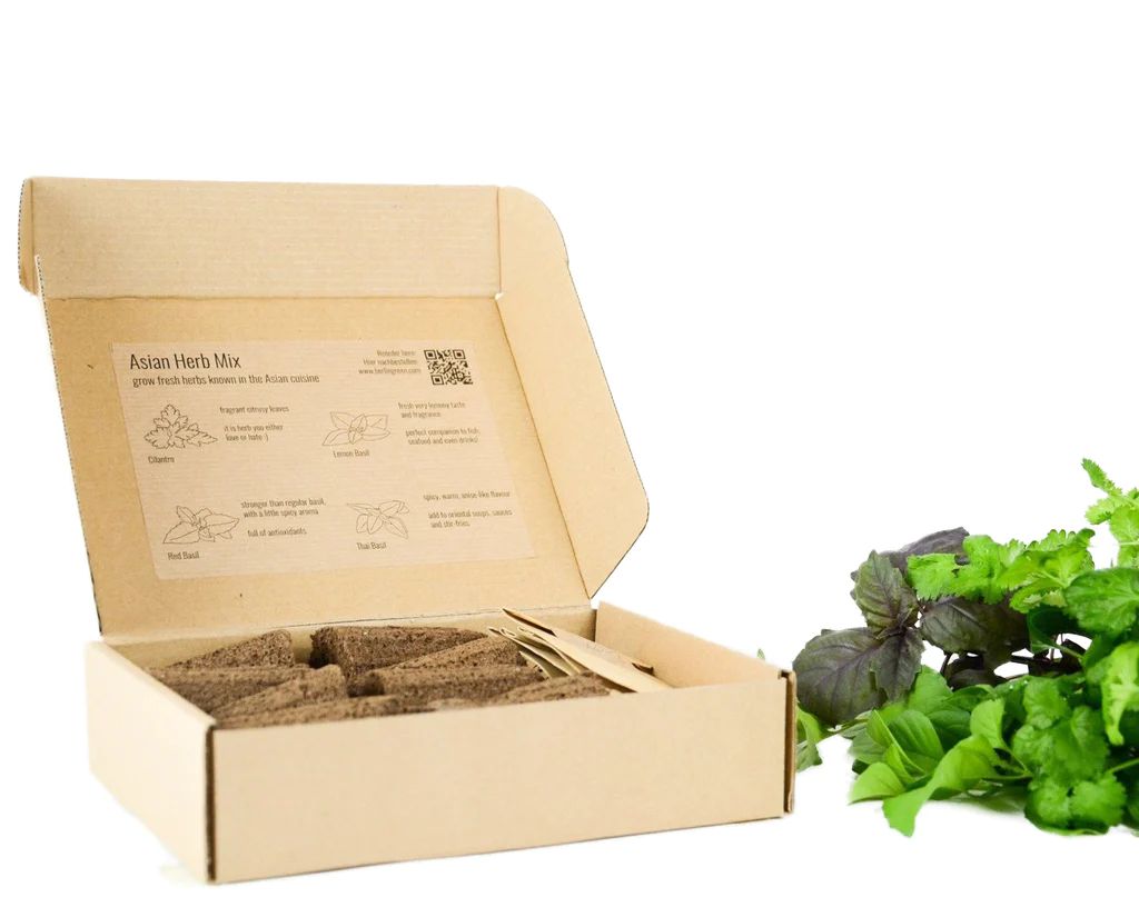 BerlinGreen PlantPlugs Asian Herb Mix 8-Pack