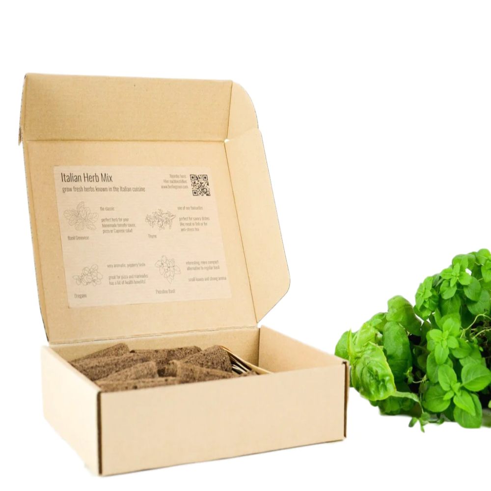 BerlinGreen PlantPlugs Italian Herb 8-Pack