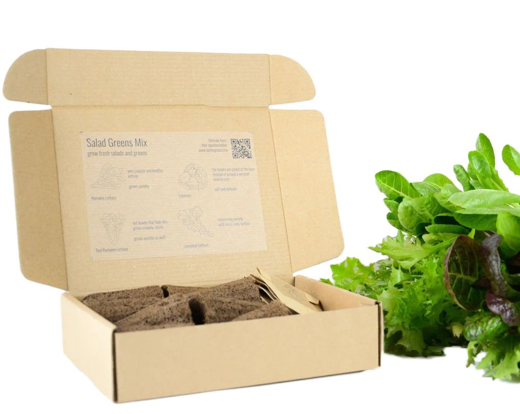 BerlinGreen PlantPlugs Salad Greens 8-Pack