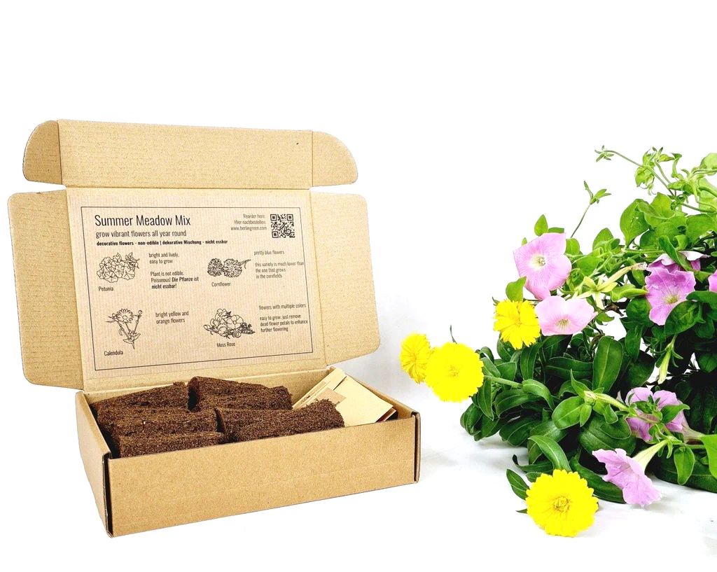 BerlinGreen PlantPlugs Summer Meadow Mix 8-Pack
