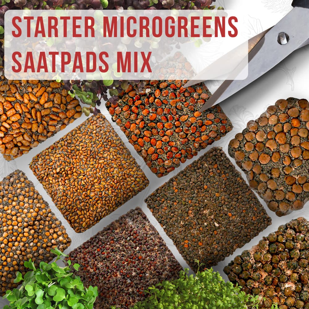 OraGarden Starter Microgreens-Saatpads-Mix 48 Stück