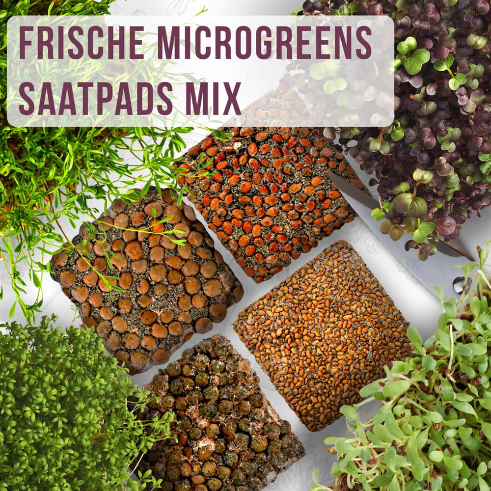 OraGarden Frische Microgreens-Saatpads-Mix 24 Stück