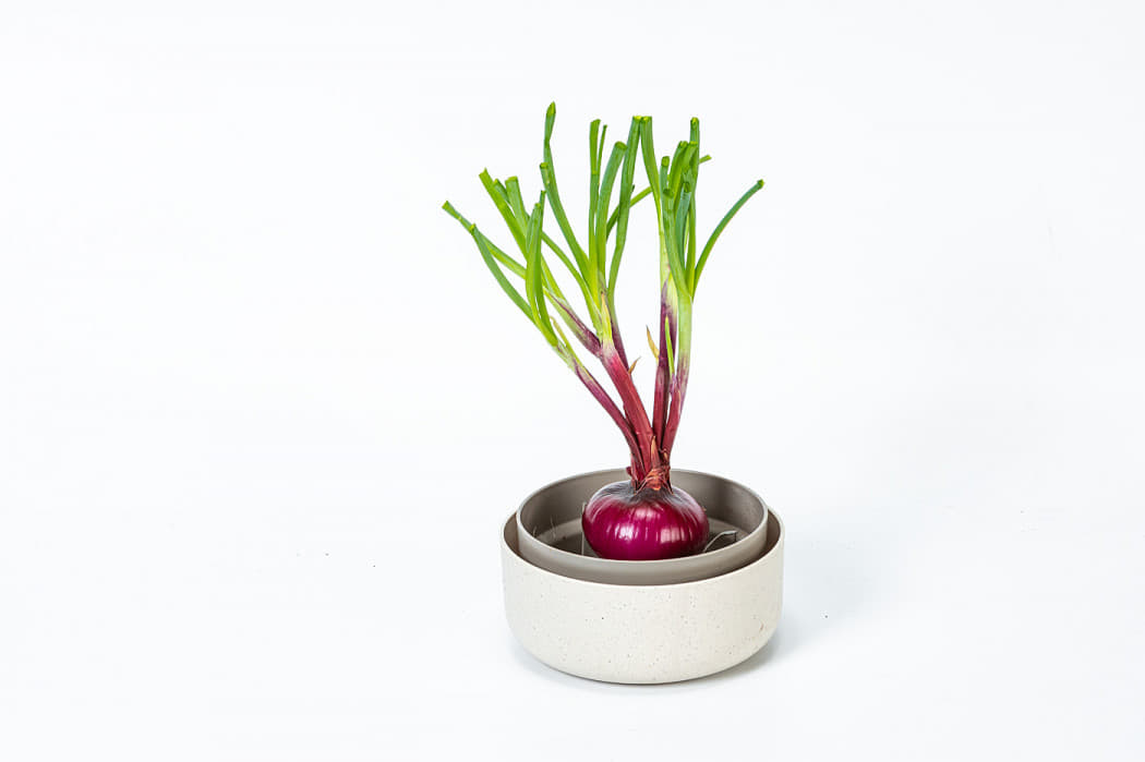 Plastia Urbalive Design - Pattumiera biometrica da cucina,4 l,con